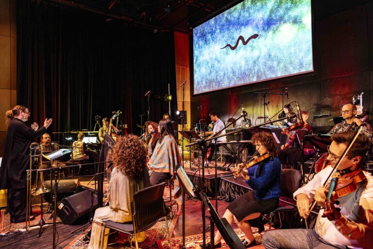 Small File_Lutruwita Arts Orchestra at Moonah Arts Centre Oct 24_photographer Jillian Mundy_JLM_7382-Enhanced-NR