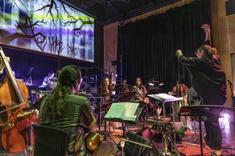 Small File_Lutruwita Arts Orchestra at Moonah Arts Centre Oct 24_photographer Jillian Mundy_JLM_7415-Enhanced-NR